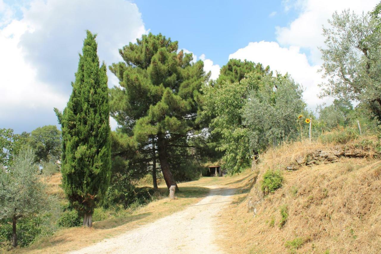 Podere I Rovai-Apt Il Rifugio- In The Heart Of Tuscany Reggello Exterior foto